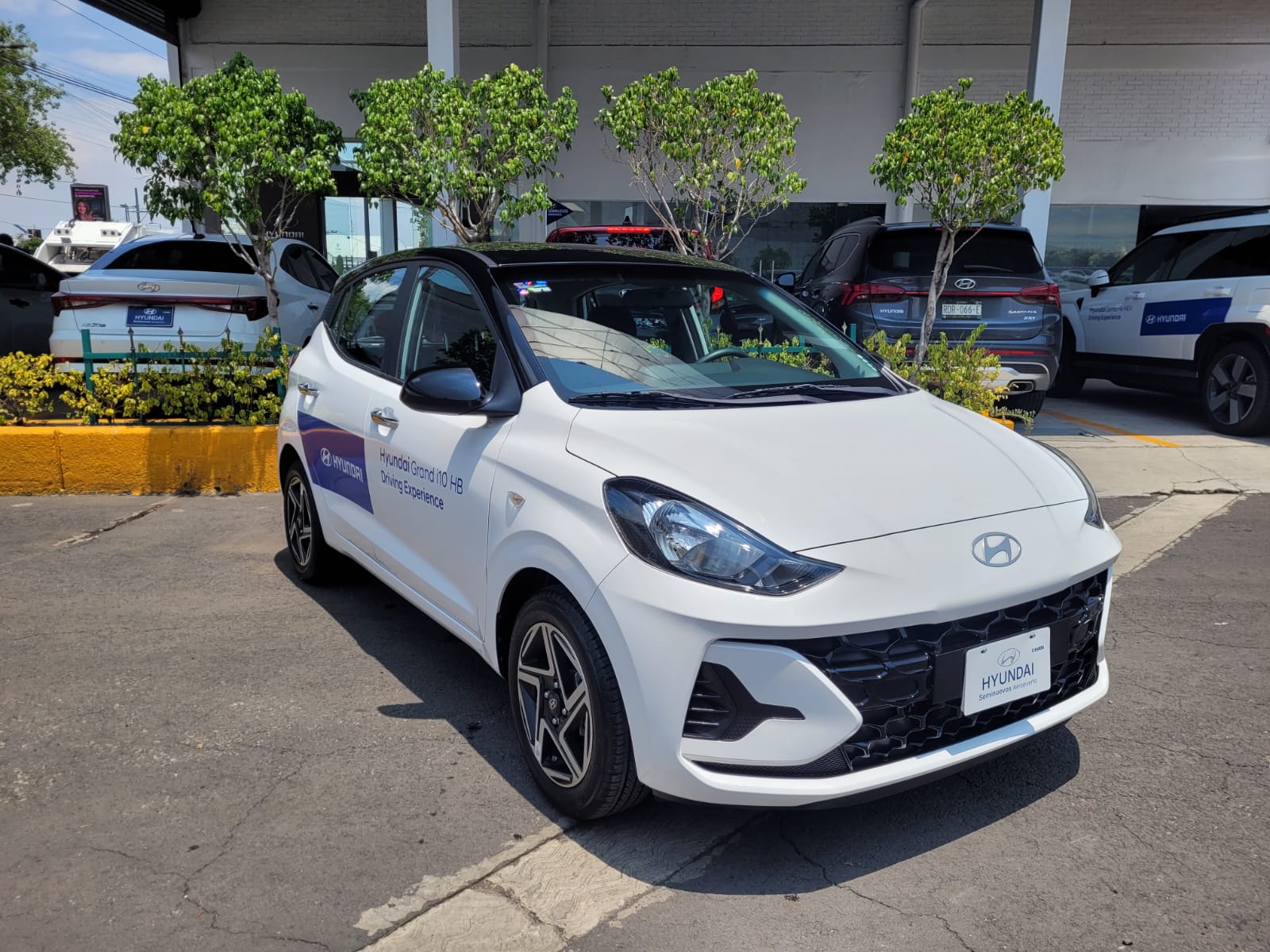 seminuevos hyundai méxico